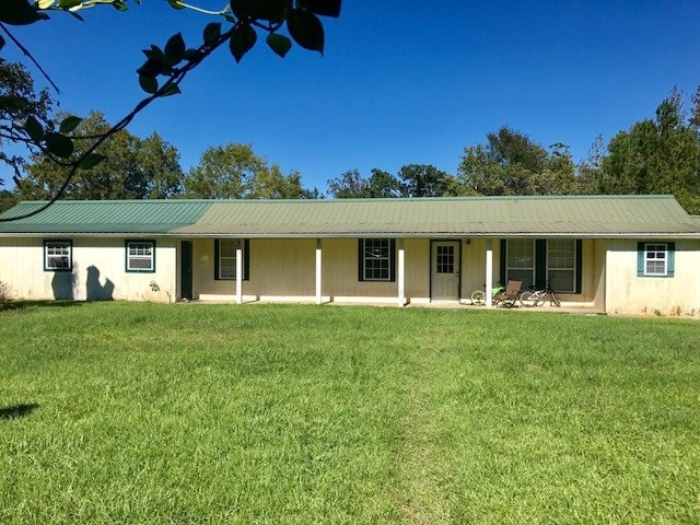 Main View
