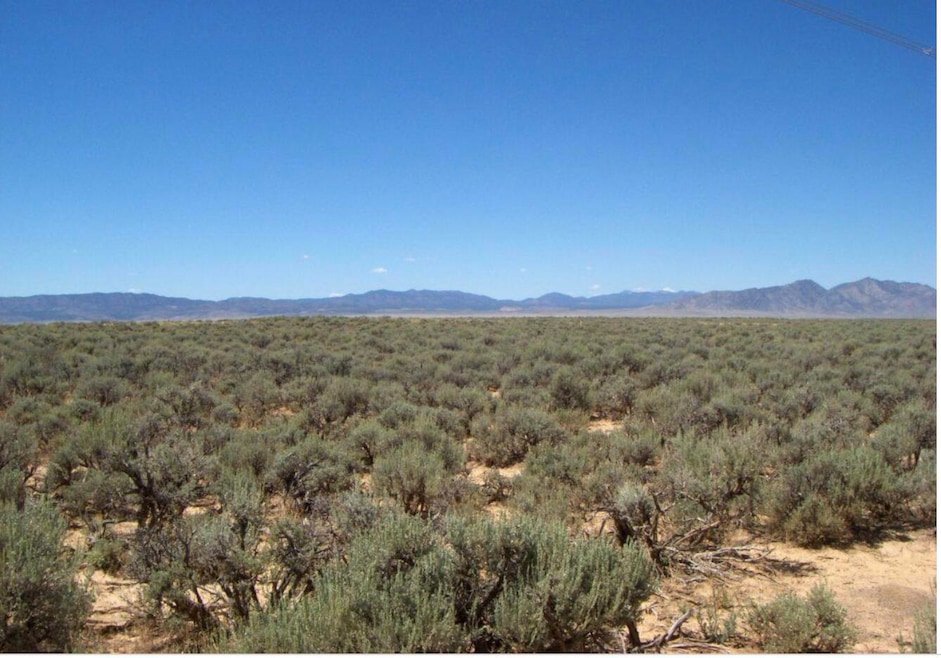 20 Acres