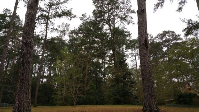 Main View