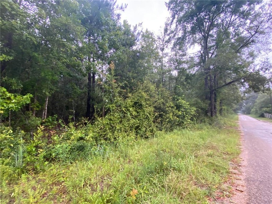 00 Tob Wilson Rd, Franklinton, LA 70438 - photo 1