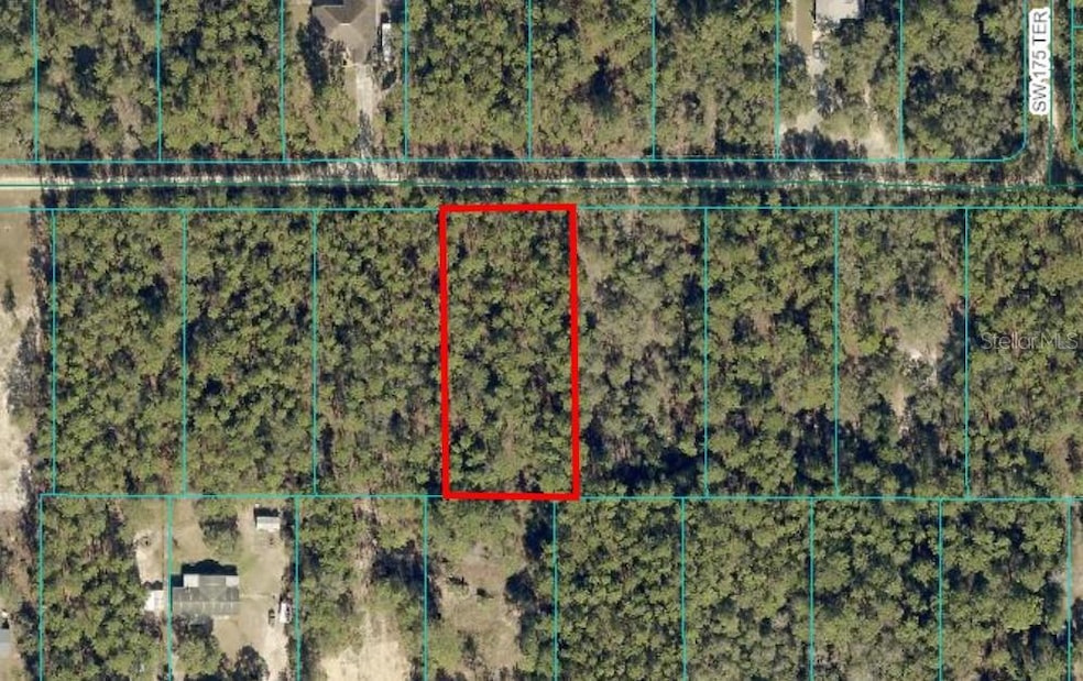 TBD Lot 13 SW 39th St, Dunnellon, FL 34432 - photo 1