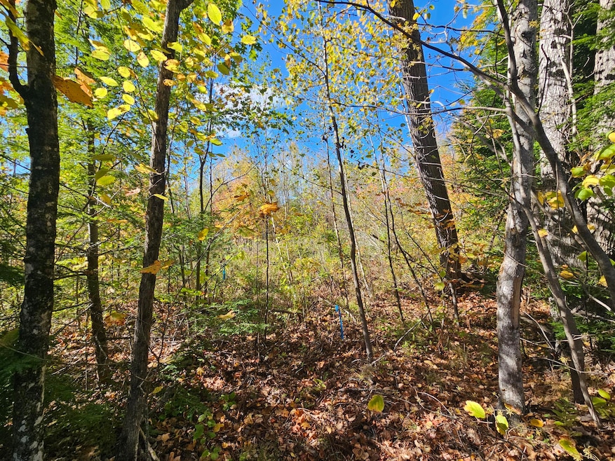 059-007 Soper's Mill Rd, Auburn, ME 04210 - photo 1