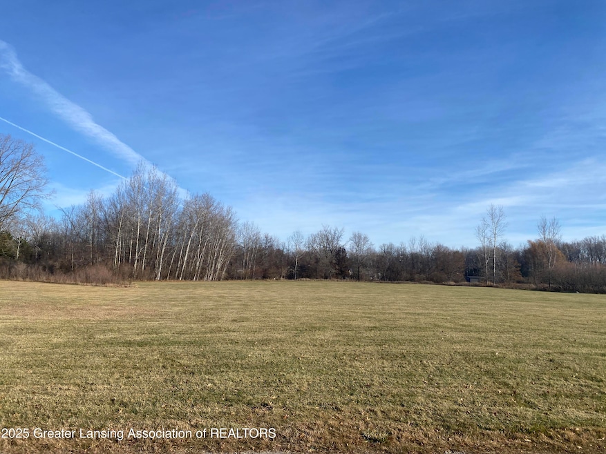 V/L Elm St, Standish, MI 48658 - photo 1
