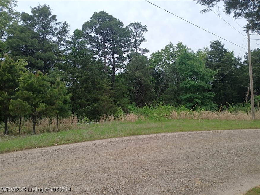 0 Citadel Bluff Trail, Cecil, AR 72930 - photo 1