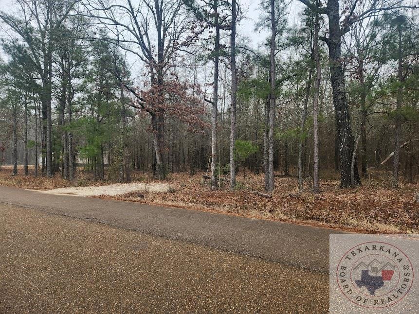 TBD Hagler Ln, Texarkana, TX 75501 - photo 1