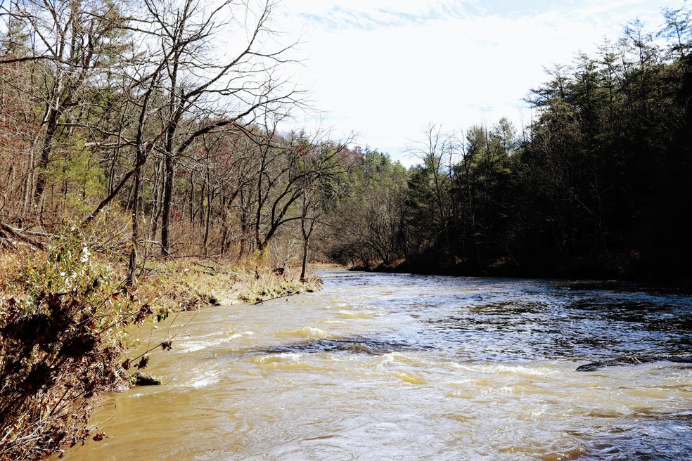 Little Reed Island Creek