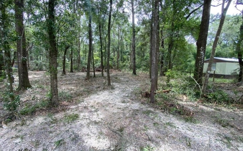 16588 NW 80th Ave, Fanning Springs, FL 32693 - photo 1