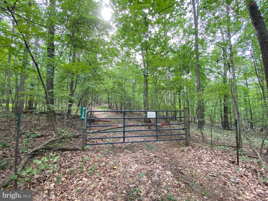 Lot 3 Independence Ln, District 1, VA 22844 - photo 1
