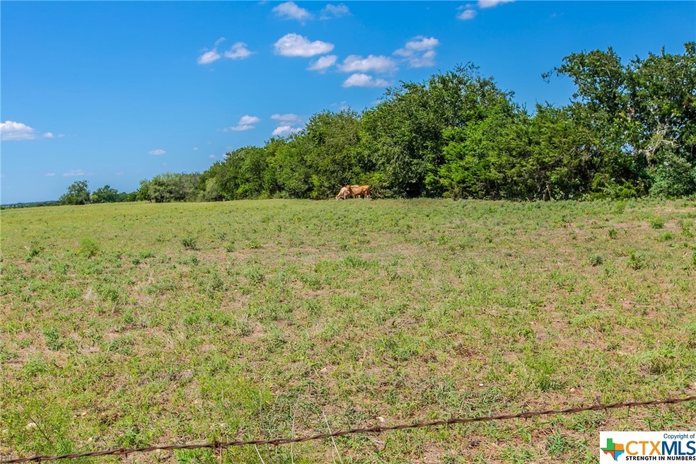 TRACT C Little Mexico Rd, Temple, TX 76504 - photo 1