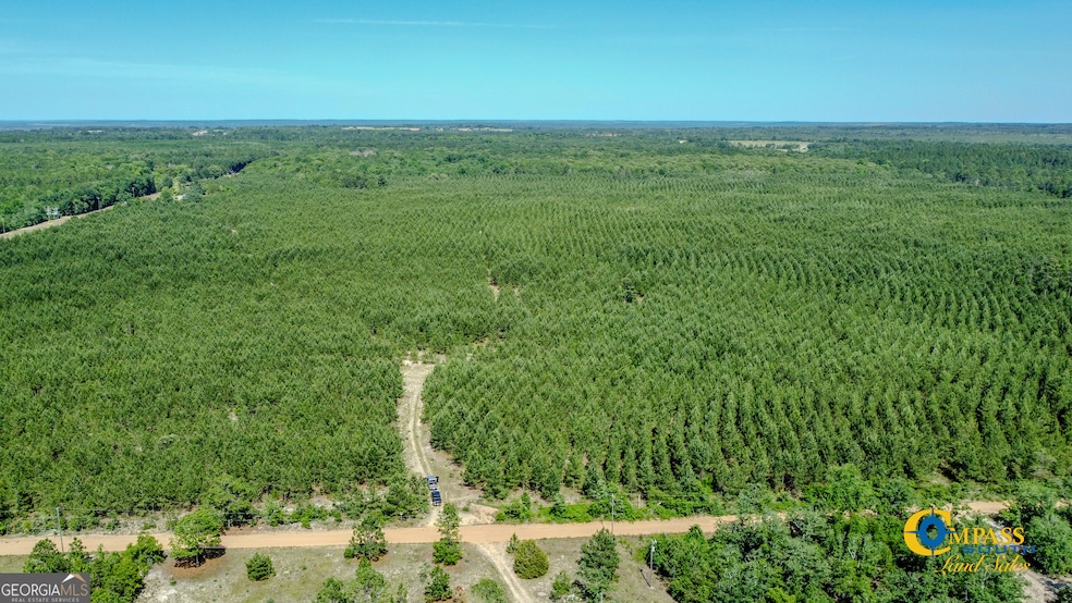 0 Montgomery Rd, Mauk, GA 31058 - photo 1