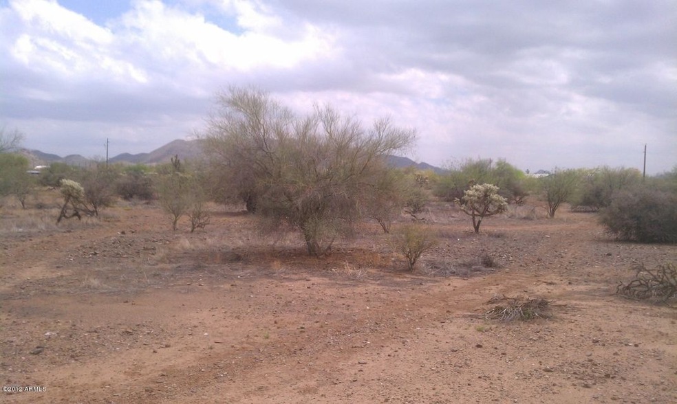 WIDE OPEN SPACE