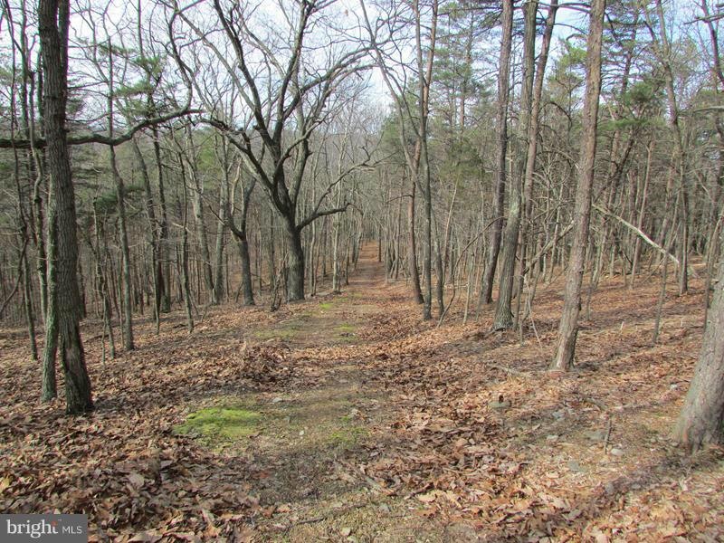 0 Cups Hollow, Sherman, WV - photo 1
