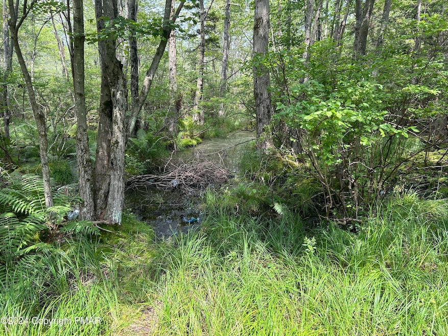 9503 Juniper Dr, Tobyhanna, PA 18466 - photo 1