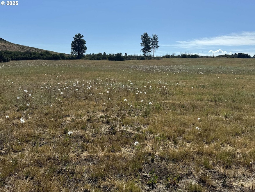 0 Bennie Ln unit 10 769692260, Chiloquin, OR 97624 - photo 1