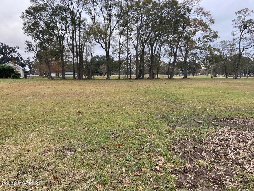 Lot 7