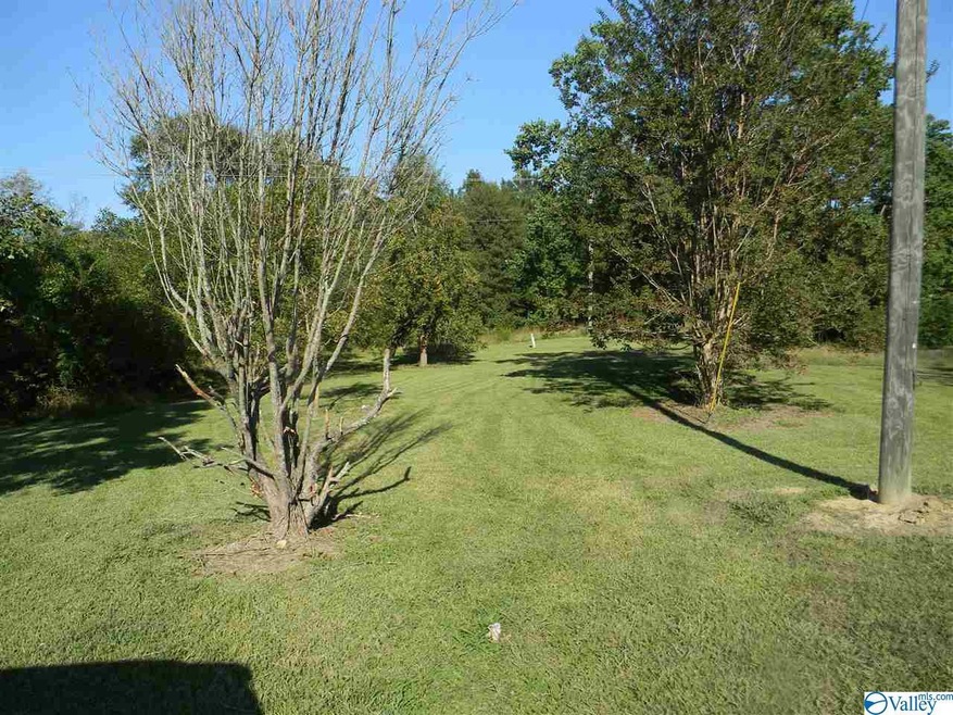 28 Horizon Place, Rainbow City, AL 35906 - photo 1