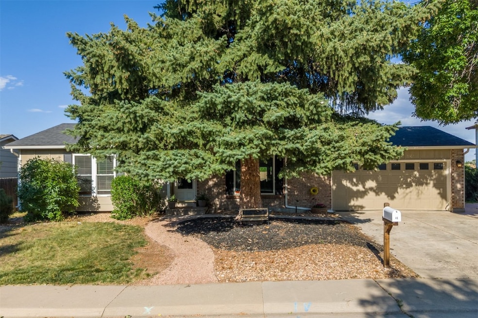 Welcome to 1246 S Telluride Street!