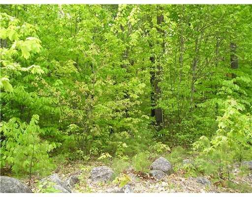 0 N Raymond Rd, Raymond, ME 04071 - photo 1