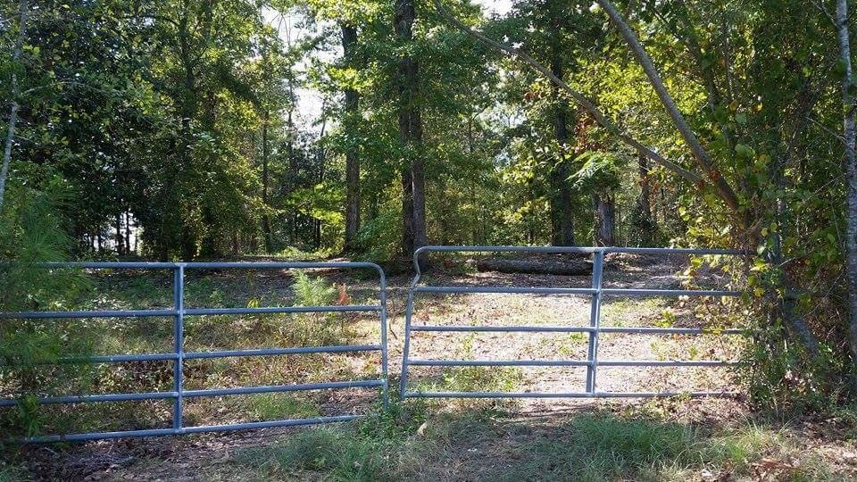 29 Howard Smith Rd, Laurel, MS 39443 - photo 1