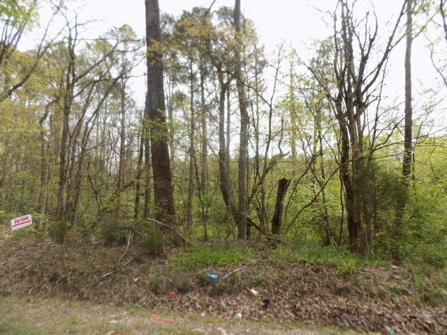 0 Dover St unit 1252120, Dalton, GA 30721 - photo 1