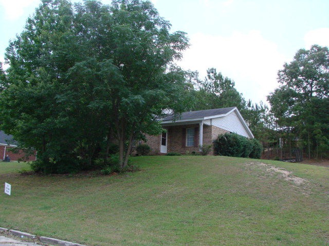 Main View