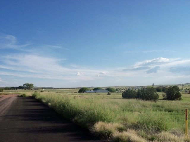 0 Off Mountain View Cir unit 114821, Taylor, AZ 85939 - photo 1