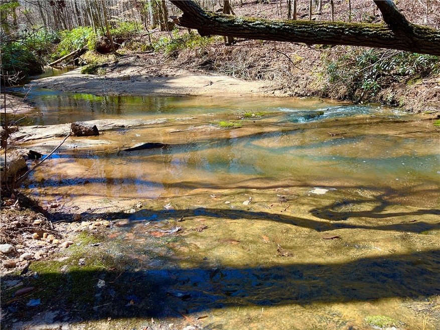 00 Sarah Simpson Rd, Iva, SC 29655 - photo 1