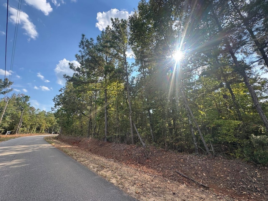 Tract D Lee Road 345, Salem, AL 36874 - photo 1