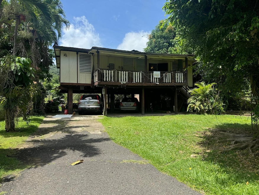 CARR 738 Bo Montellano, Cayey, PR 00736 - photo 1