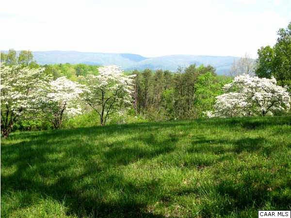Spring Mountain View