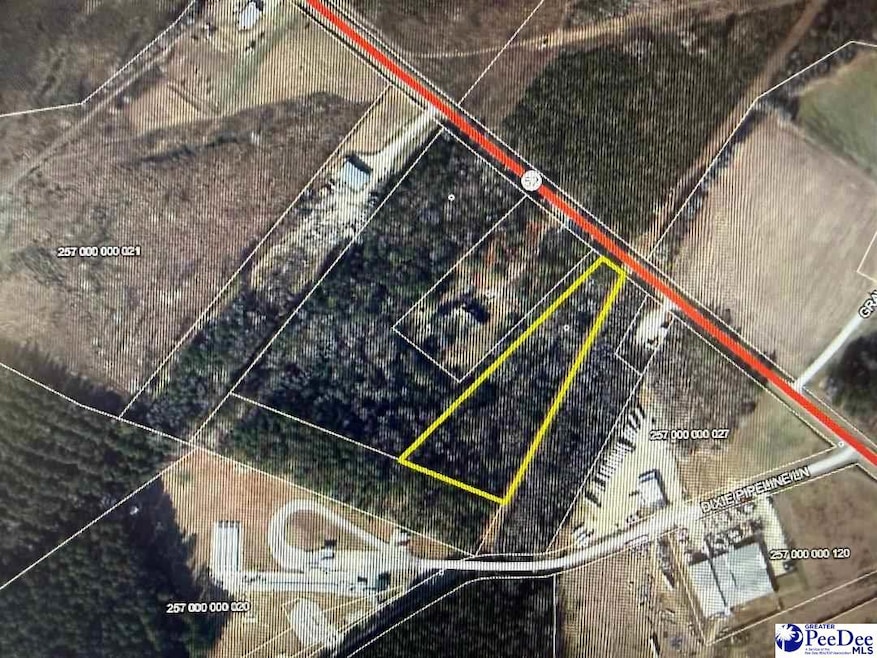 Tract 4 U S Route 52, Cheraw, SC 29520 - photo 1