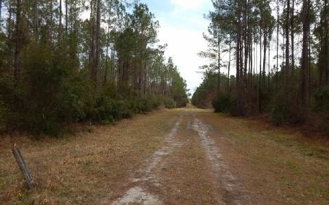 0 Us Hwy 441 N unit 94803, Lake City, FL 32055 - photo 1