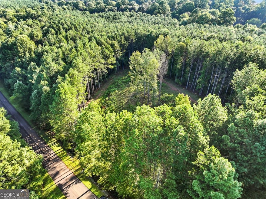31&32 Fox Paw Leaf Ln, Ellijay, GA 30536 - photo 1