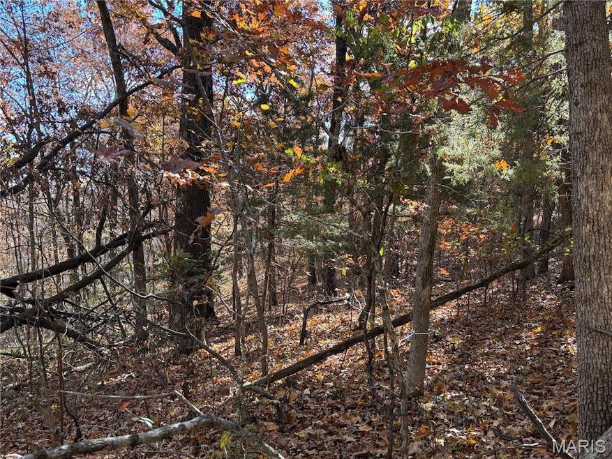 1977 Red Bud Dr, Lake Timberline, MO 63628 - photo 1