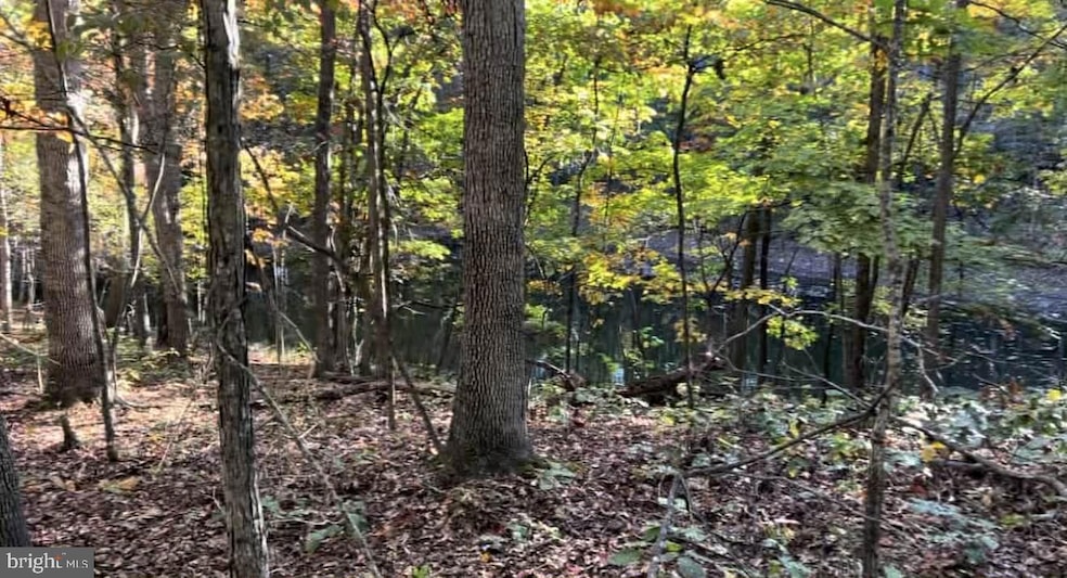 0 N Frederick Pike unit VAFV2038096, Winchester, VA 22603 - photo 1