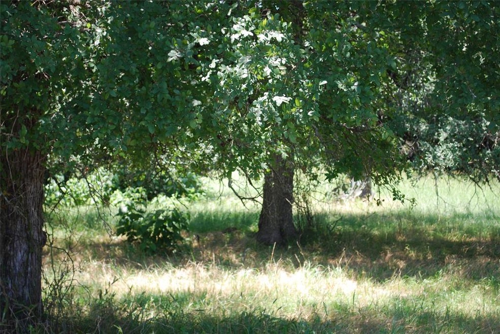 37037 Woodacre Loop, Whitney, TX 76692 - photo 1