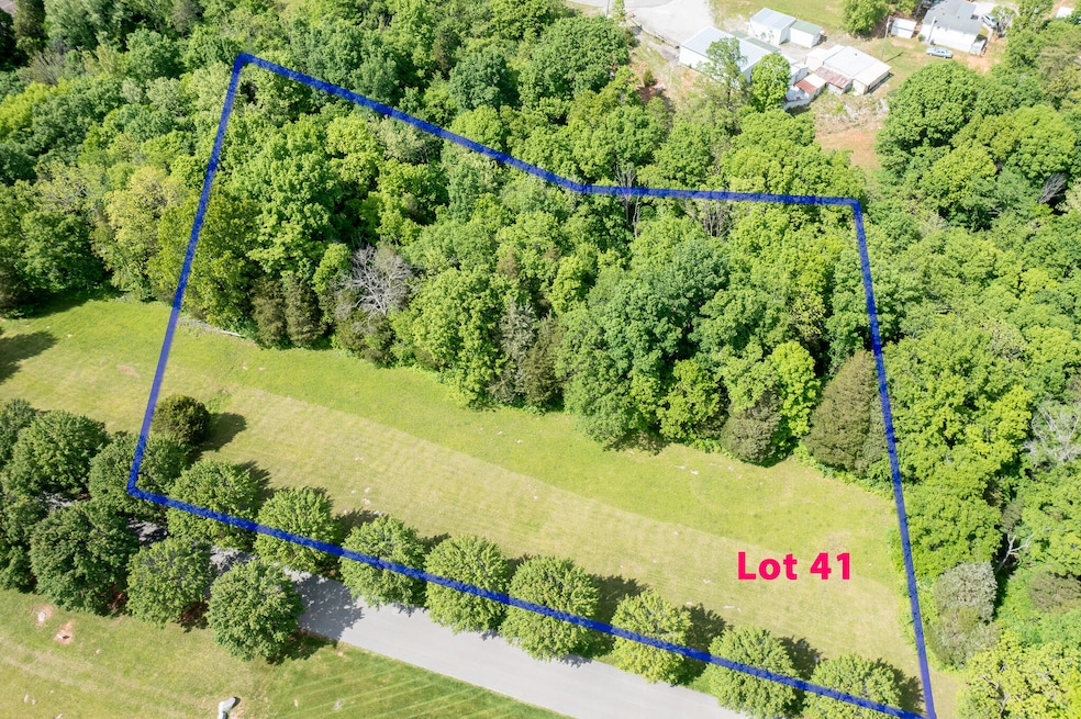 Lot 41