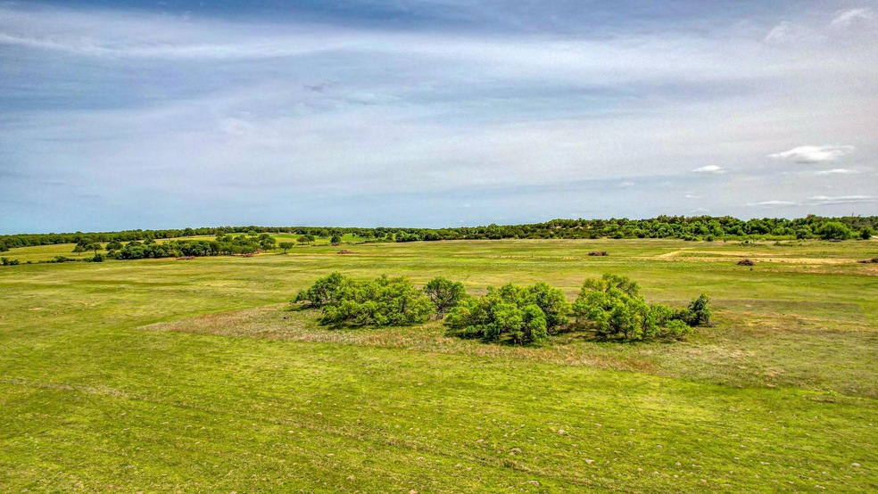 Lot 12 Pine Rd, Poolville, TX 76487 - photo 1