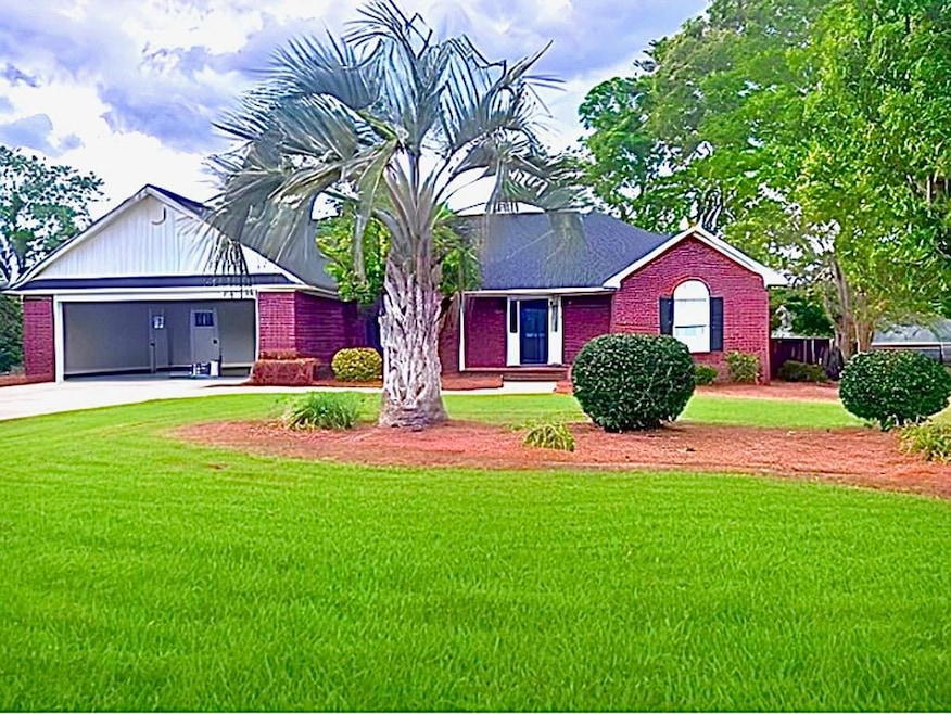 Main View