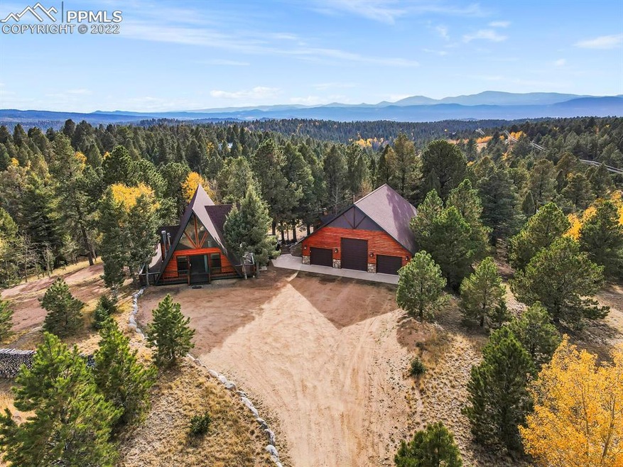 66 Blue Mesa Dr, Divide, CO 80814 - photo 1