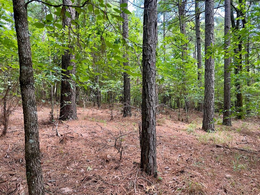 40 Trout Creek Rd, Watson, OK 74963 - photo 1