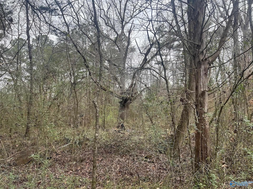 123 Hitt Rd, Decatur, AL 35603 - photo 1