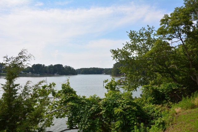 Main View