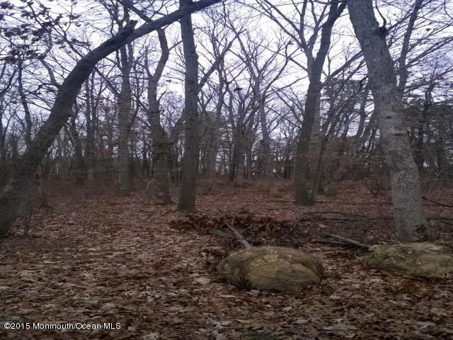 WP_20141208_002 (Custom)