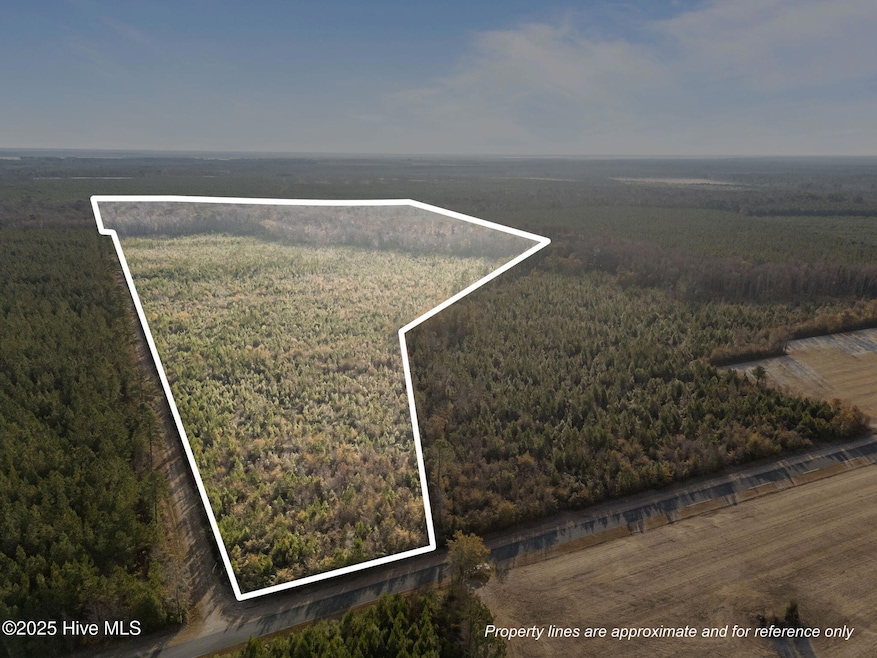 0, Aurora, NC 27806 - photo 1