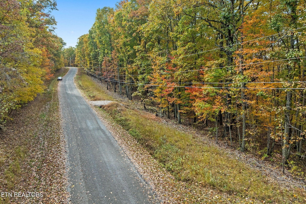 1-web-or-mls-461 E Cove Rd, Monterey_035