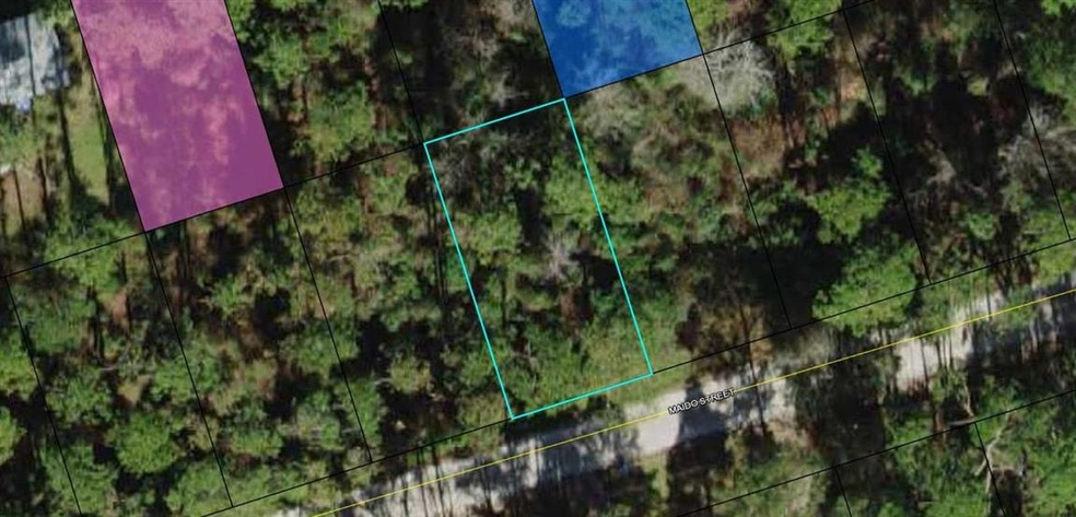 Lot 9 Maido St, Crawfordville, FL 32327 - photo 1