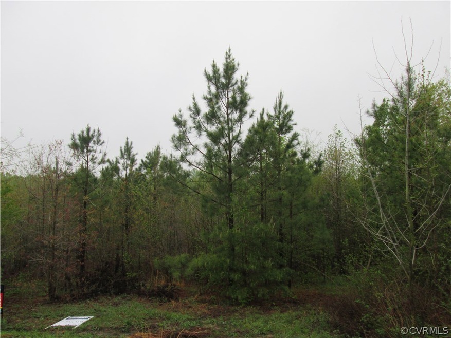 D3 Sunset Pasture Ln, New Kent, VA 23141 - photo 1