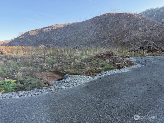 0 U S 12, Glenoma, WA 98336 - photo 1