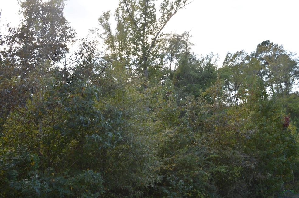 TBD Shady Grove Rd, Jefferson, TX 75657 - photo 1